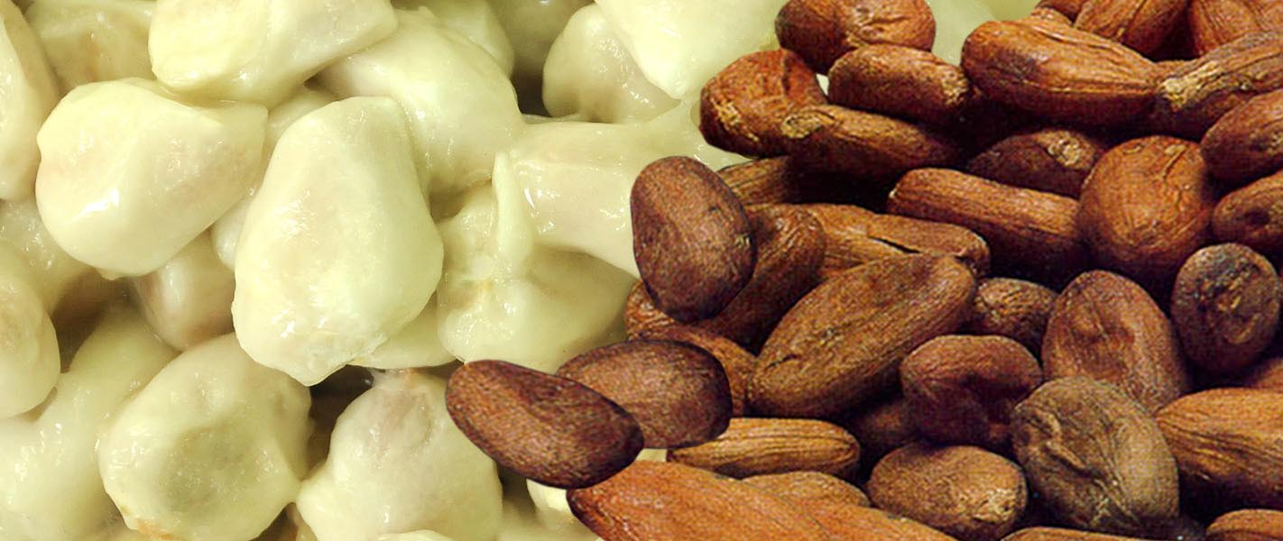 Aktiviti Akan Datang